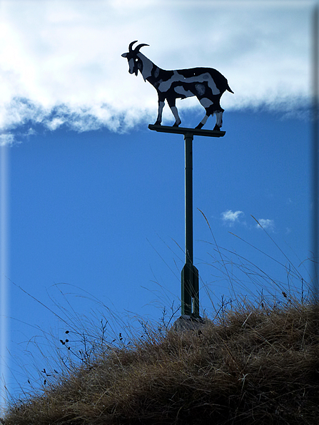 foto Salita dal Monte Tomba a Cima Grappa